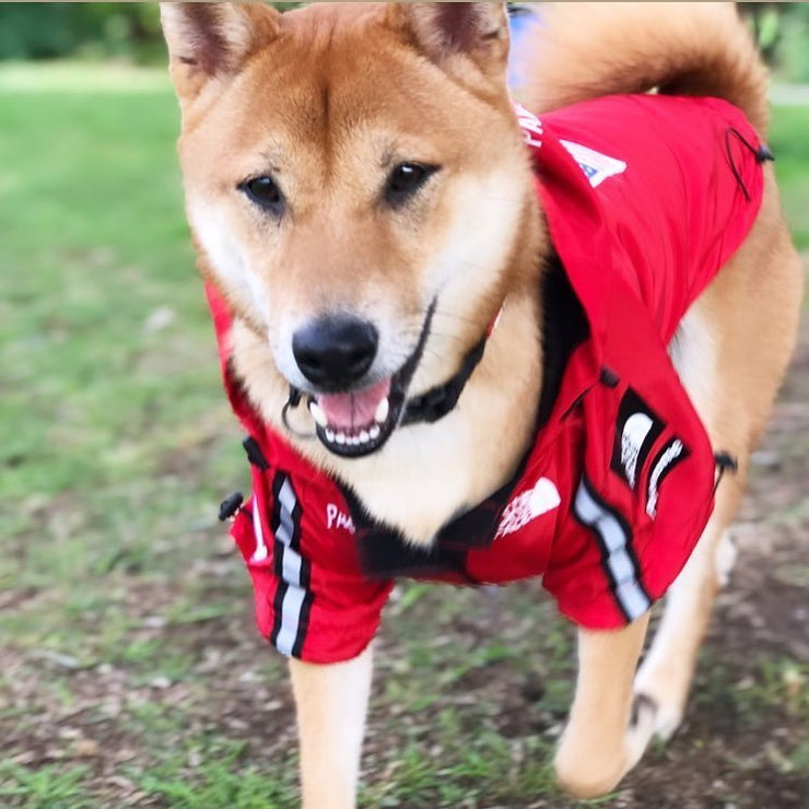 Pet Raincoat