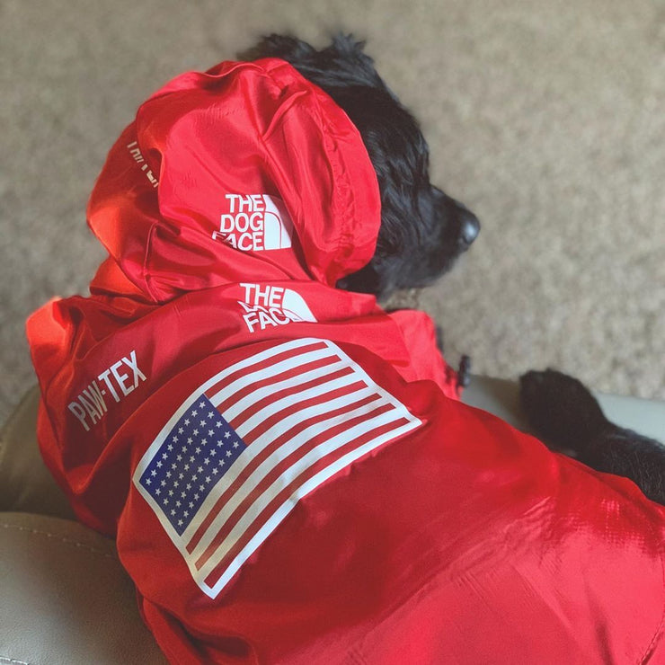 Pet Raincoat