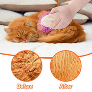 Steamy Cat Brush
