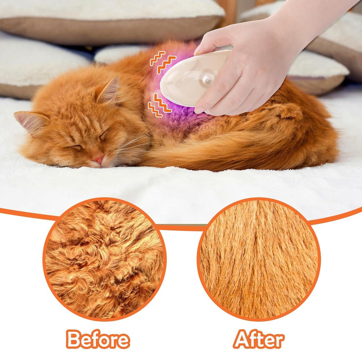 Steamy Cat Brush